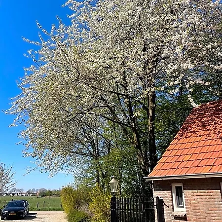 Couette-café B&B Driel 4*